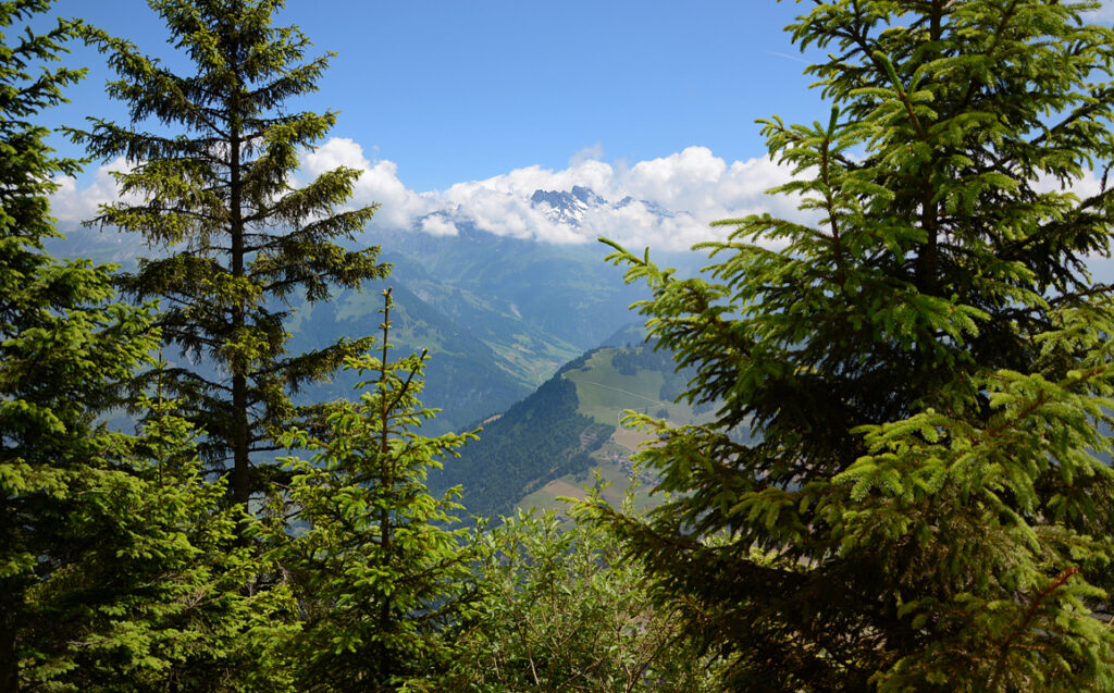 40 Spazierweg etwas bergauf