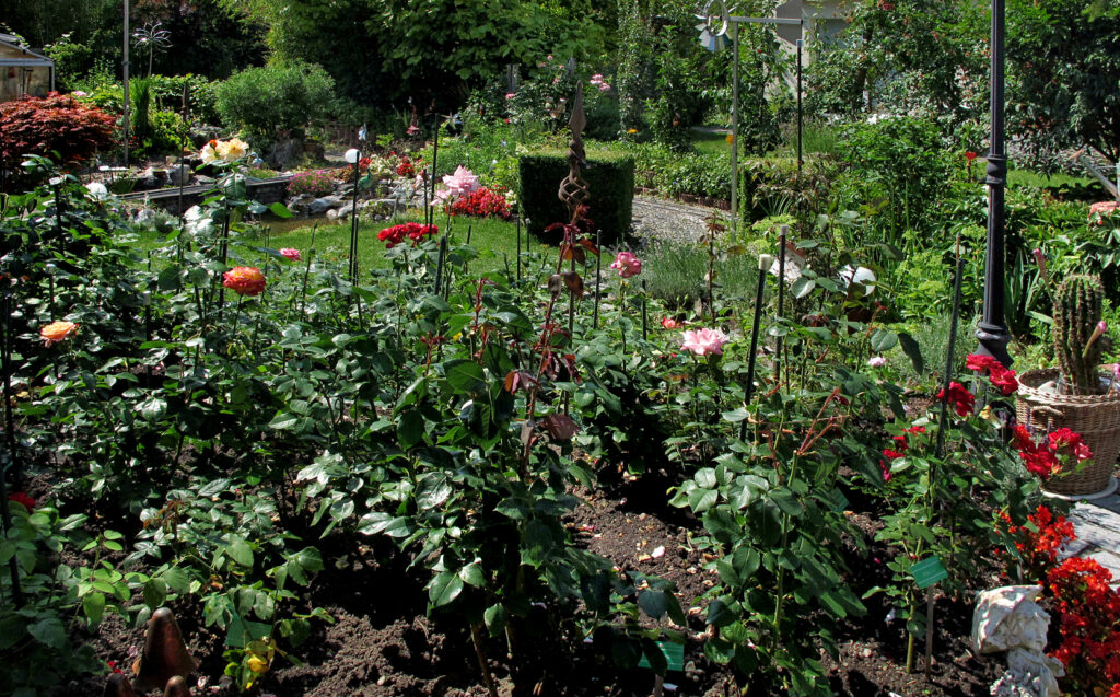Rosengarten